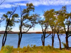 Camping Viejo del Chocon
