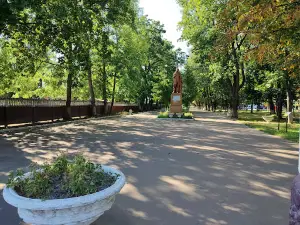 Tsentralʹnyy Park