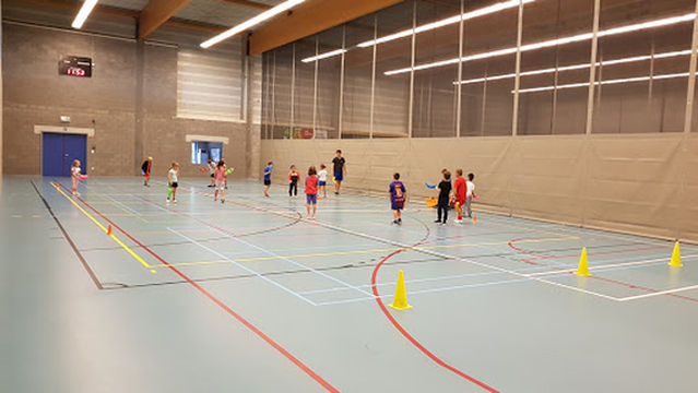 Leeuwse Badminton Club