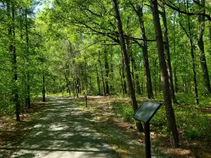 Crooked Creek Park
