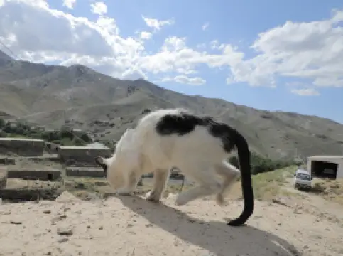 Sentob qishlog'i tarixiy maskani