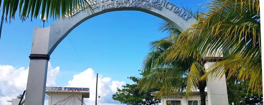 Looc Fish Sanctuary