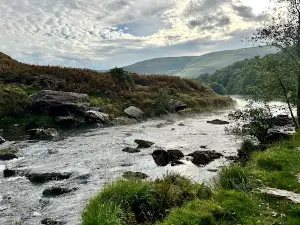 RSPB Gwenffrwd-dinas