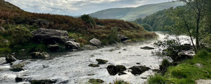 RSPB Gwenffrwd-dinas