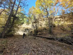 Pine Hills Nature Preserve