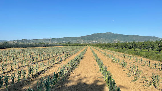 Canale Maestro della Chiana