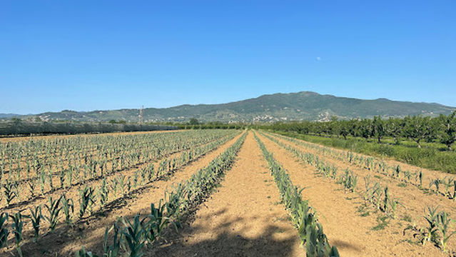 Canale Maestro della Chiana