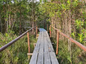 GEOSITE HUTAN KERANGAS CENDIL