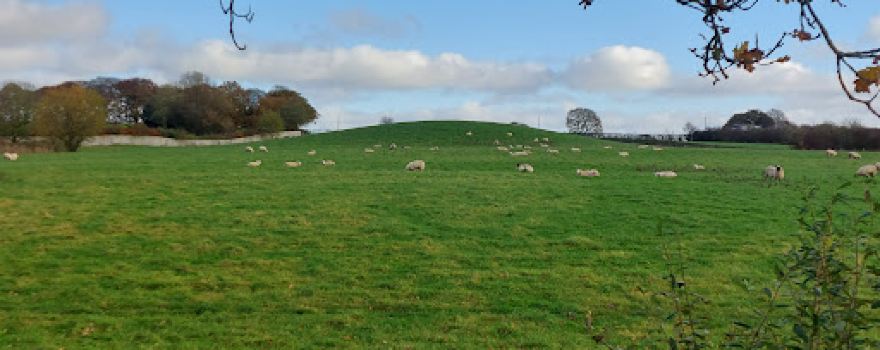 Boars Den Roundbarrow