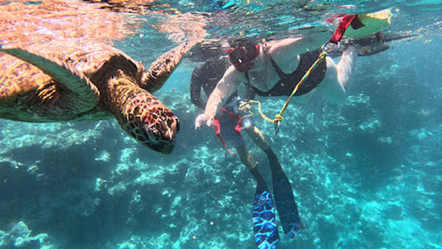 Ocean Toa Cook Islands
