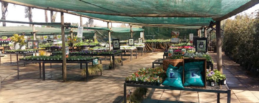 Sunkist Garden Pavillion