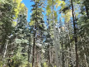 Piedra Falls Trailhead