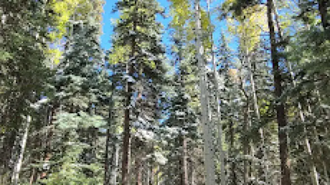 Piedra Falls Trailhead