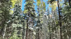 Piedra Falls Trailhead