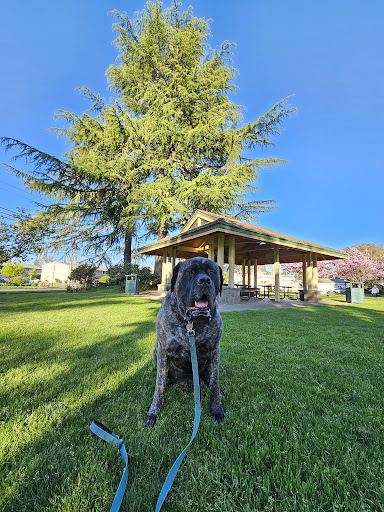 Bagley Park