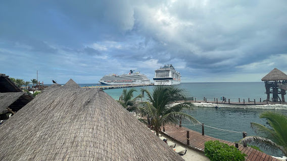 Aviarius - Costa Maya