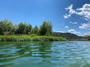 Bathing area
