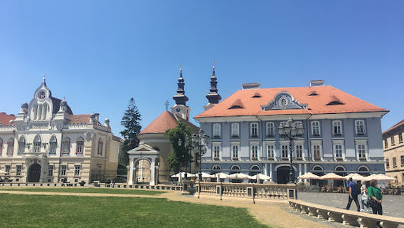 Timisoara