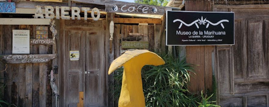 Museo de la Marihuana