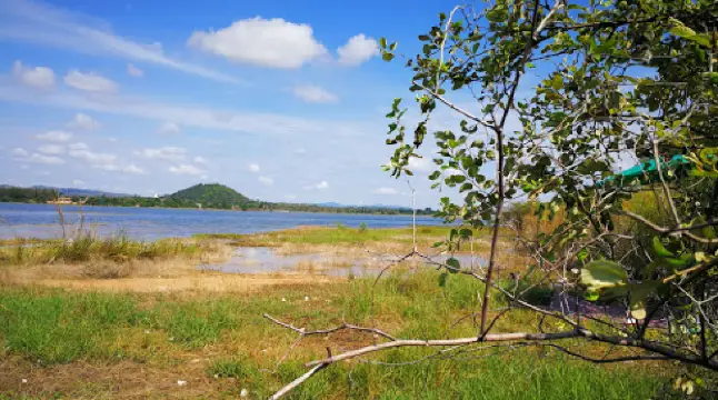 ห้วยชากนอก