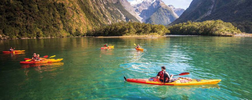 Southern Discoveries - Milford Sound Visitor Centre