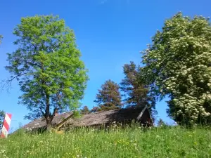 Uljaste matkarada