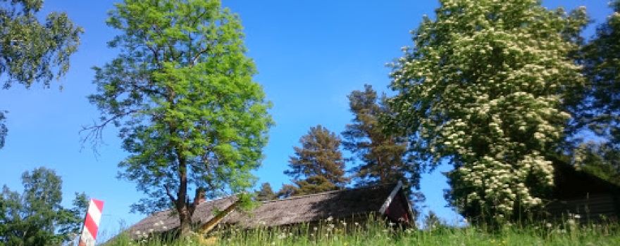 Uljaste matkarada