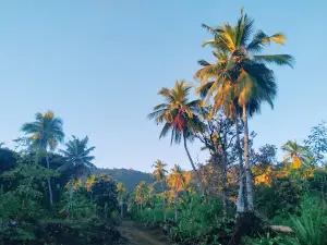Nzwani