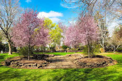 Stack Park