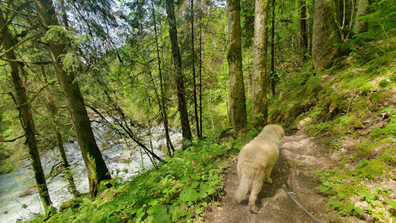 Reichenbach im Kandertal