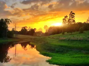 Henslee Park