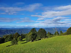 Griffiths Lookout