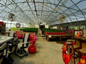 Lapp's Greenhouse