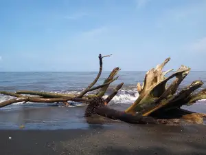 Pantai Marimbati