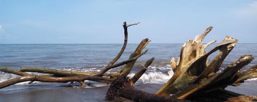 Pantai Marimbati