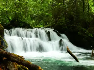 Vetter Falls