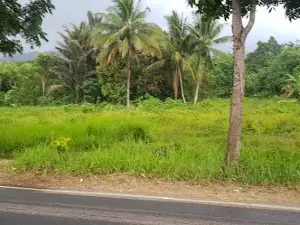 Taman SBY