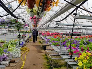 T: mi Garden Rauno Nieminen