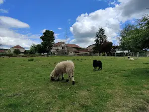 ferme pédagogique du grand der