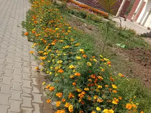Rahat Park
