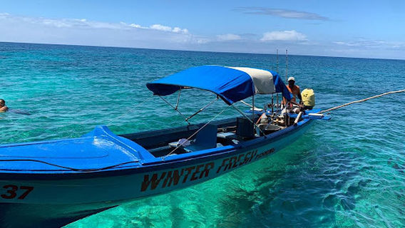 Winter Fresh Fishing & Tours