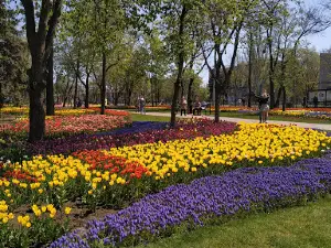 park Veselka