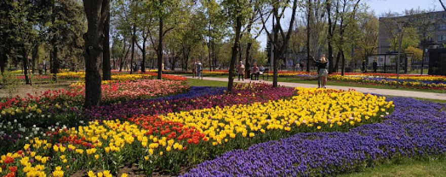 park Veselka