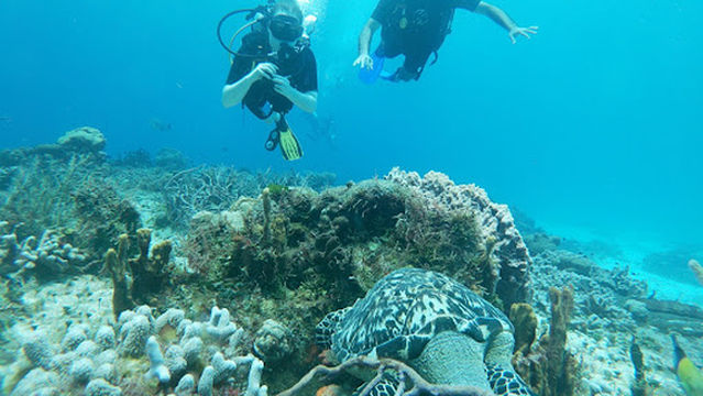 Cozumel Adventure Planet