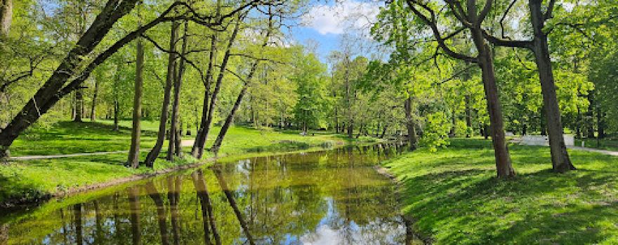 Park miejski w Skierniewicach