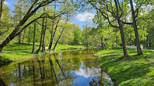 Park miejski w Skierniewicach