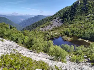 Muniellos