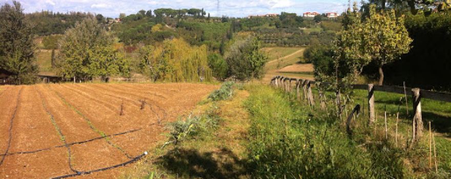 Agricampeggio Yuptala