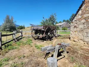 Early settlers Hut