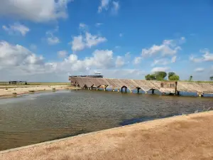 South Texas EcoTourism Center